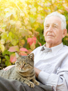 Home Care Assistance Daleville AL - Best Cat Breeds for Seniors